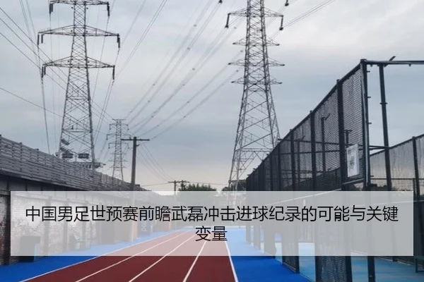 中国男足世预赛前瞻武磊冲击进球纪录的可能与关键变量